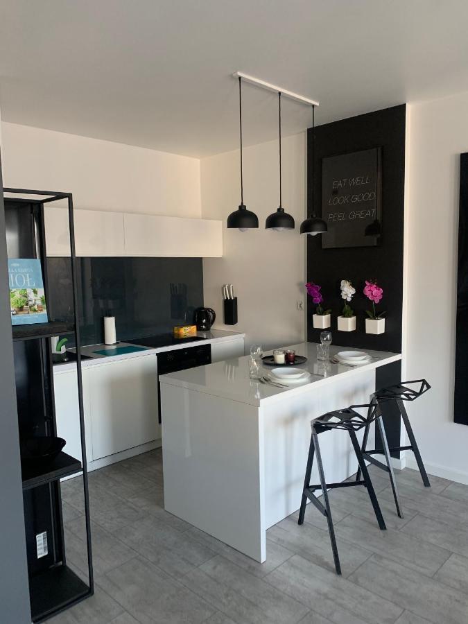 Ekskluzywny Penthouse Z Ogrodem W Centrum Lodzi Exterior photo